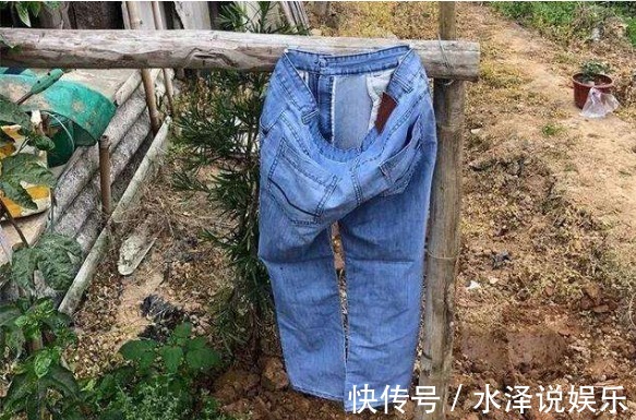 这东西|他用这东西养花,把半夜踩点的小偷吓半死,长势旺到不行!