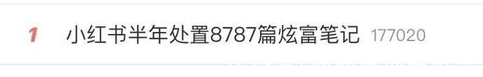 国家网信办|半年处理8787篇笔记，这一次小红书把炫富拿捏住了吗?
