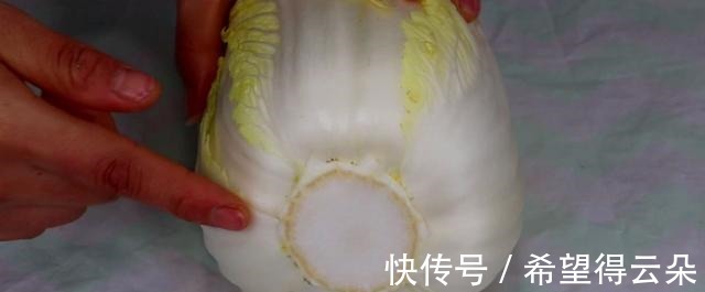 水分|白菜别放在冰箱保存,老菜农教我一个妙招,白菜新鲜水分多!