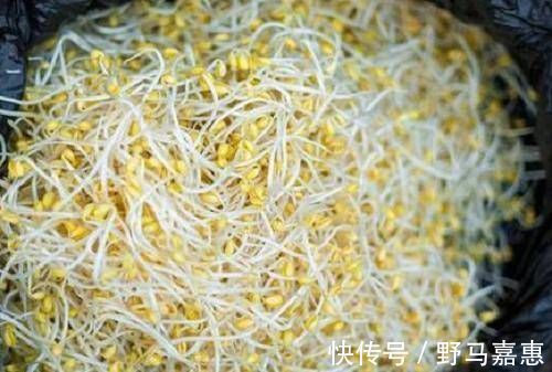 饱腹|黄瓜和“它”才是绝配，每周吃2次，气色好看了，腰也变细了