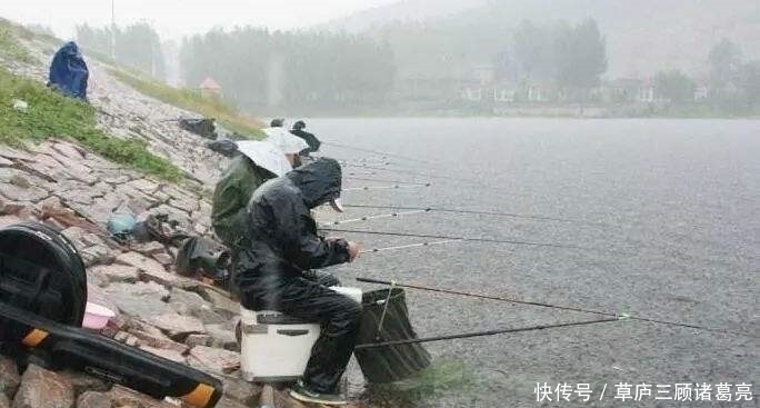 鱼委屈:“你根本不了解我,说的就是你,整天诱我上钩的钓鱼人”