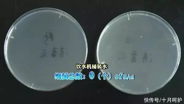 家用电器|家里细菌最多的竟是饮水机，感染家庭后悔知道太晚