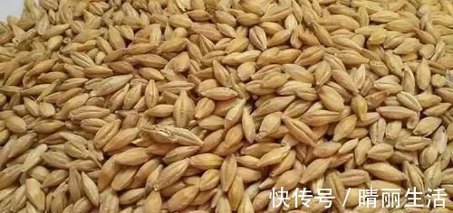 冬瓜|男人若想前列腺好,天天吃点“它”,不需要多久,炎症自然消