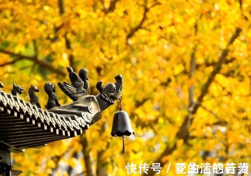 月亮#涓涓隽语七绝.桂月二首:三秋桂子正婵娟,附外一首秋梦