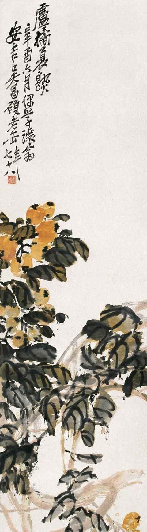 吴昌硕|春天里最期待吴昌硕家的枇杷一个个果大肉肥,让人看了都眼馋