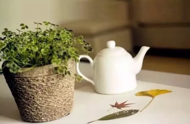 善良|半生已过，唯愿快乐