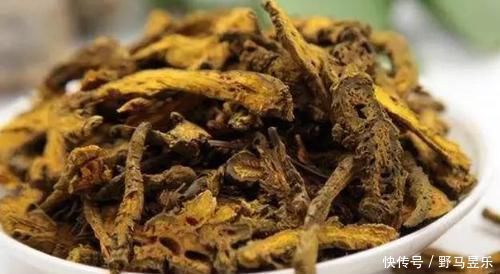 良效|此物被人称为“最苦”的中药,入药也最能清心火、解热毒、除湿气