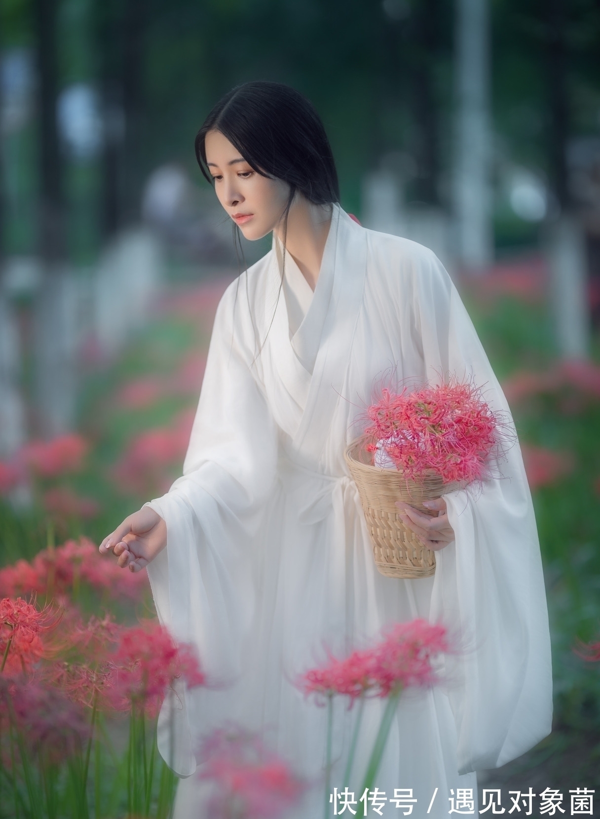 鸣蛙@诗·八首丨朝游野岭寻佳句,晚向渔樵举酒壶