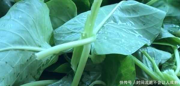 秘诀|做好水煮肉片,掌握这秘诀就够了!肉片滑嫩到筷子都夹不住过瘾