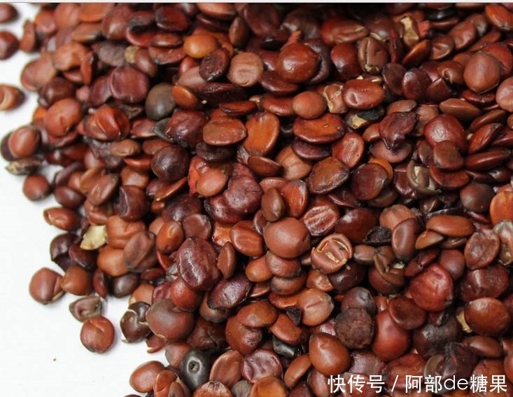 失眠|晚上易失眠多梦?用此物泡水,睡前来一杯,告别失眠,远离黑眼圈