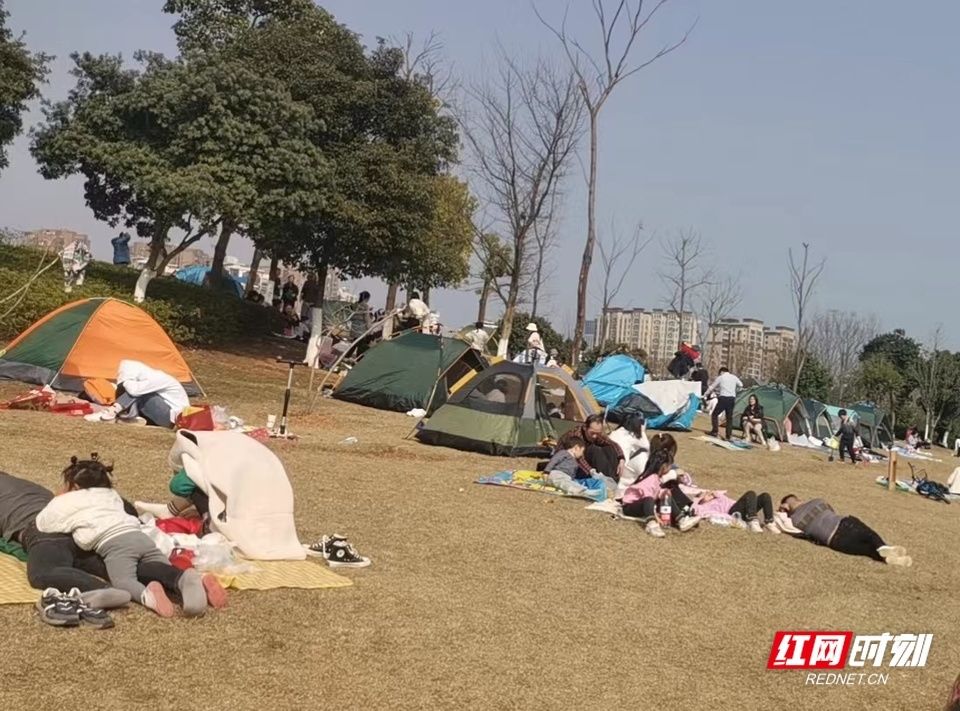 湖南人|壮观！太阳一出来，草地上就“长”满了快发霉的湖南人