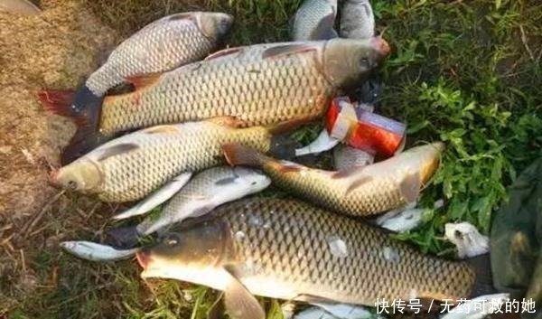 台钓|钓鱼技巧学会双铅钓法，野钓中不惧风大浪大，轻松钓大鱼！