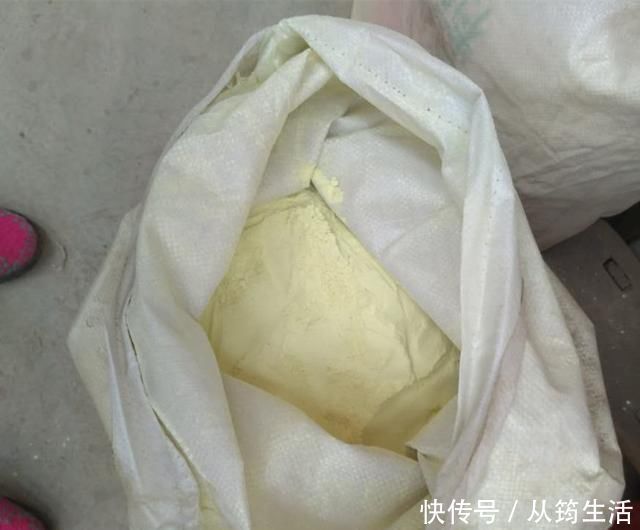 蓝莓|老前辈养兰花,盆里撒把粉,兰花呼呼长,叶子厚绿油亮,不烂根