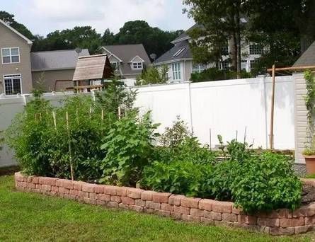 朋友用生活废料制作的花床,都不用两百块