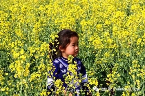 春光无限好，花艳景美岂能错过！