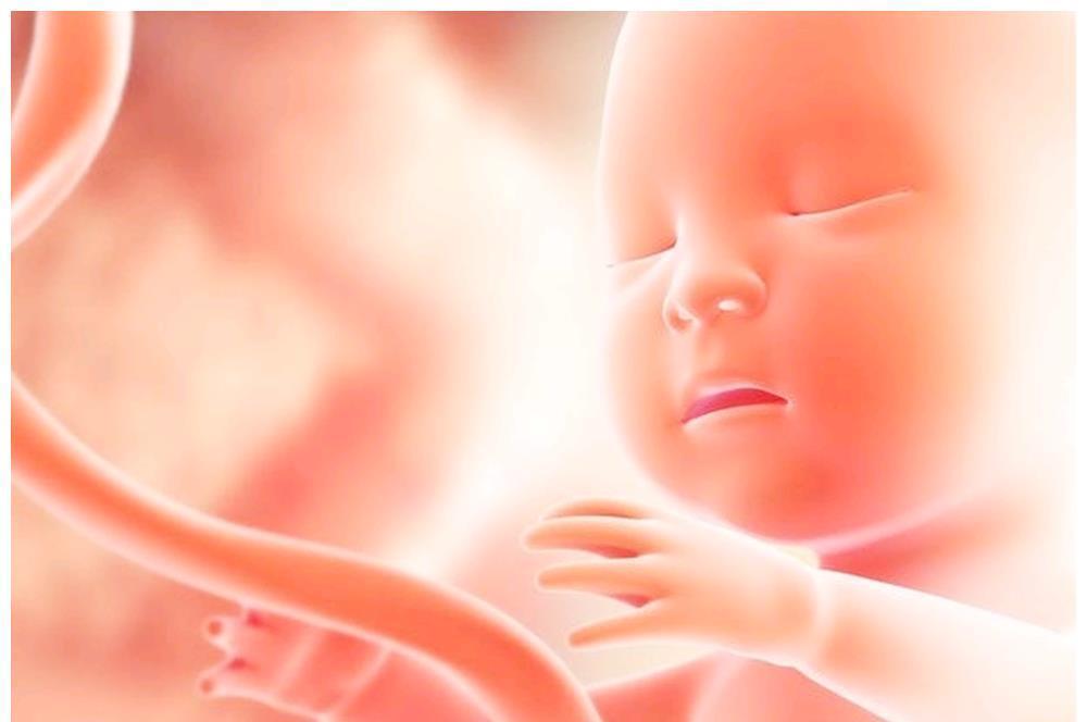 宝妈|孕妈注意：这两个时间段是胎儿“熟睡期”，尽量忍住别打扰宝宝
