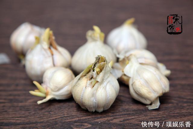 蒜蓉粉丝|大蒜买了没几天就发芽干瘪?学会这3种保存方法,放半年也新鲜