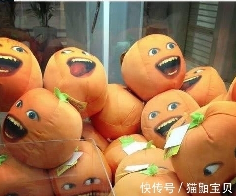 |搞笑图片幽默段子:老板你也太不会做生意了,这么偏僻有人么?