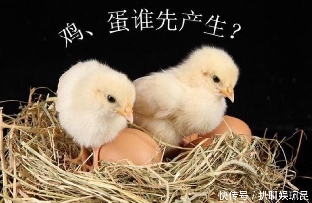 鸡蛋|人类总把鸡蛋拿走,母鸡会生气吗?看完你就明白了