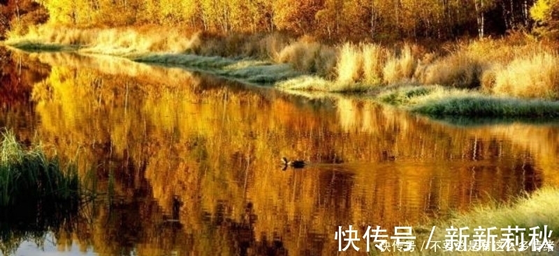 灞上秋居|十首孤独的唐诗,十种不同的心境,但那种孤独却是一样令人感动!