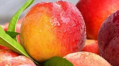 高血压患者|高血压病人吃水果,能降低血压吗?你错了!小心一些水果!