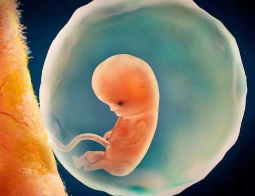 女儿|2个儿子想要女儿,没成想却迎来5胞胎,妈妈喂孩子要3个小时