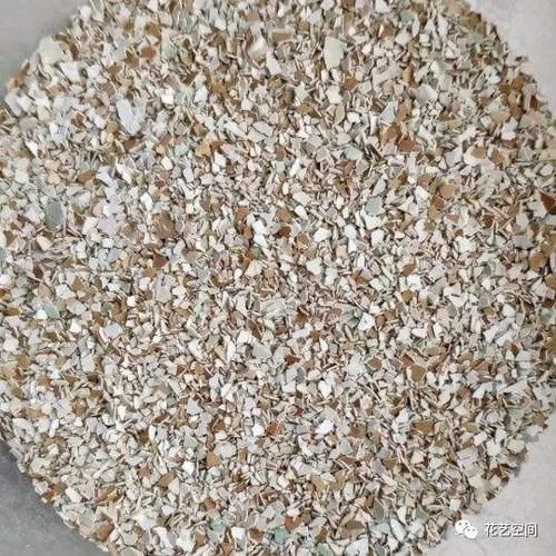 瓜子皮|别把好东西当垃圾扔,这种东西养花特好使,后悔知道太晚了