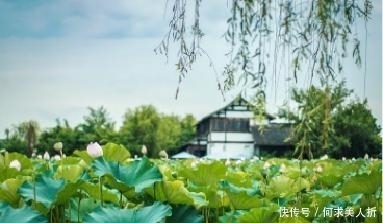 高瞻|两首传世久远的七绝,高瞻与韦庄的对比,却都很精彩!