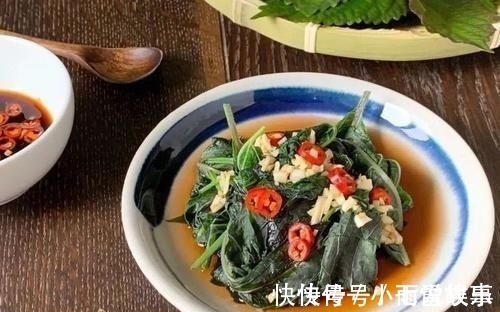 紫苏|这种叶子夏天到处是,泡茶喝散寒解毒、降压降脂阳台就能种