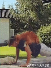 长时间|长时间健身却没效果你可能只差一条狗！