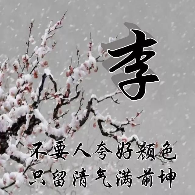  红梅|红梅花儿开，朵朵放光彩，千里冰霜脚下踩