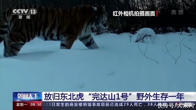 宁晋吸引优质项目做强县域经济