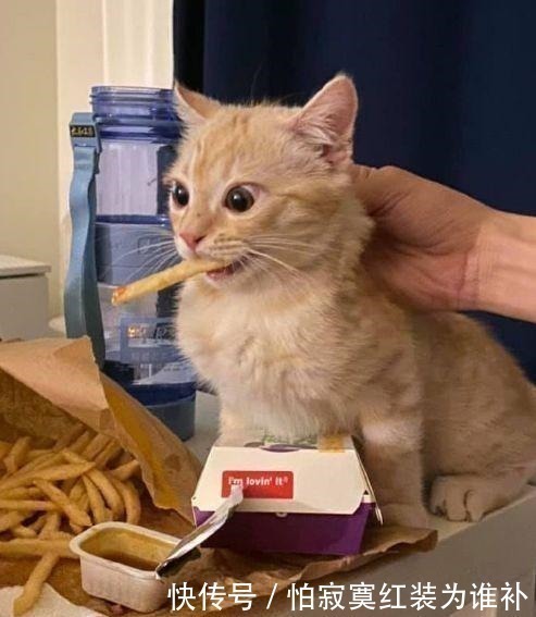 吉利银河V900开启预售3198万元起以全能实力重塑豪华MPV新标杆PG电子游戏- PG电子平台- PG电子官方网站