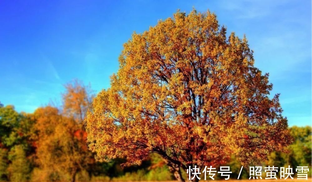 山行#古今10首写秋名作,首首经典,哪一首是你心中的第一