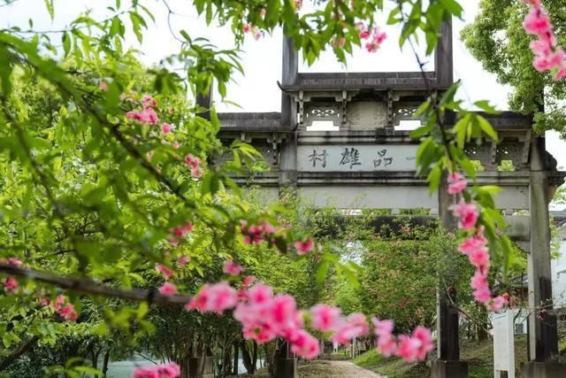 绿叶儿|驾游皖浙一号旅游风景道，共度夏日乐悠悠!