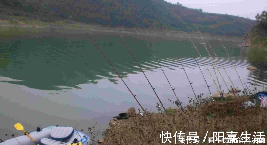 轻巧|冬钓板鲫，手竿不太好用？不妨换上海竿串钩试试，用了一次就过瘾