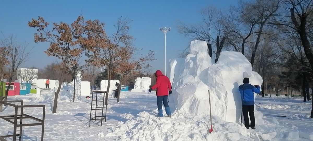 太阳岛|第二十八届全国雪雕比赛在太阳岛开铲