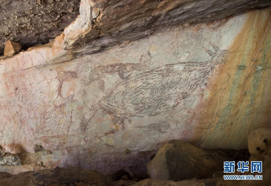 绝美|1.7万年前袋鼠岩画被确定为澳大利亚最古老的完整岩石画