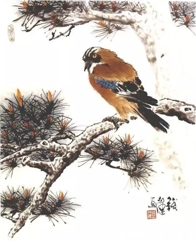 花鸟画@他的师父是海派小写意花鸟画第一人江寒汀,其作品自然也不差