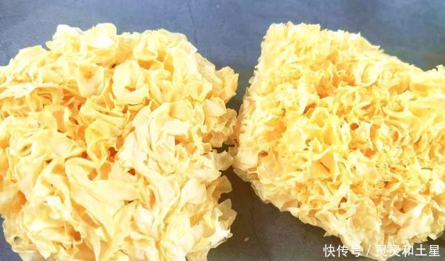 步骤|原来银耳挑错了,怎么煮都不会出胶!牢记3个步骤,辨别出胶银耳