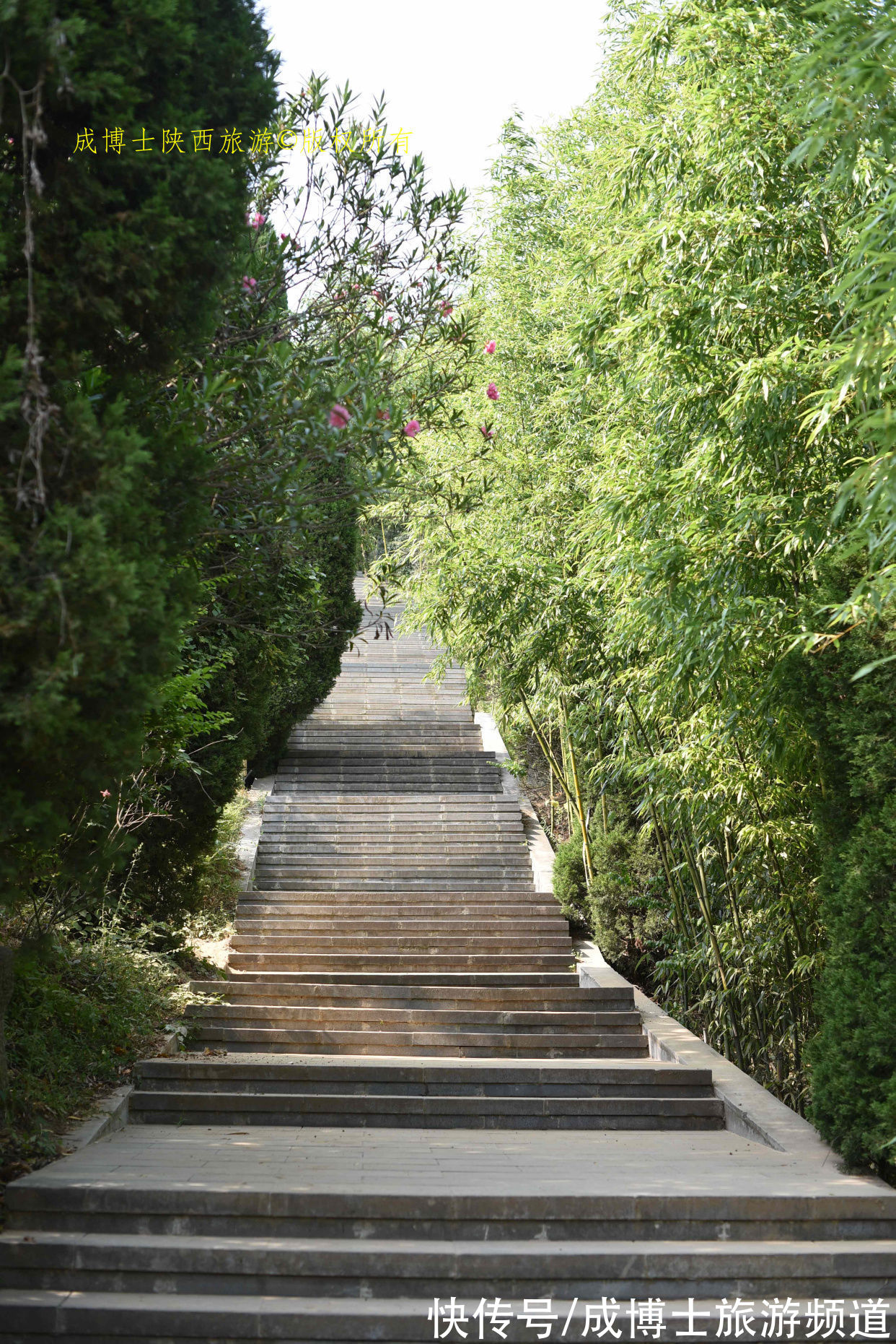 汉中|汉中西乡县这座神山白云飘飘，仙气满满，被誉为“陕南小华山”