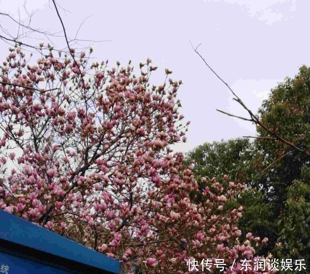 皇后|王莽为什么要杀光自己的儿子