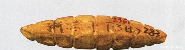 丝绸|中国丝绸博物馆馆长:五千多年前的最早丝绸是如何发现的?