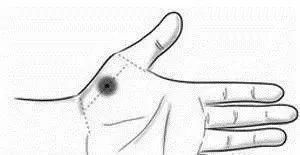 对症治疗|手掌上这块肉，一看就知道身体好不好！没事经常搓一搓，宣肺强心