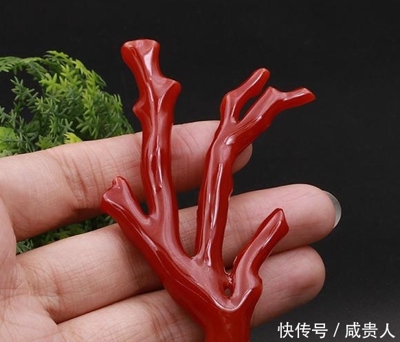 红珊瑚|珠宝界的“四大有机宝石”你认识多少个?每一种都美的惊艳!