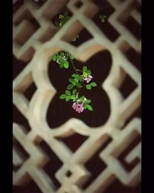 庭院|真正有钱的人，都喜欢造中式庭院，风雅还显品味，美的像桃园一样