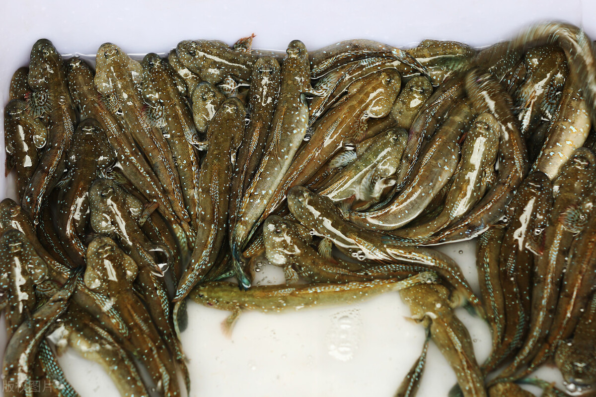 崇明|6个月310万，上海崇明一男子挣快钱，结果钱没花成自己还搭进去了