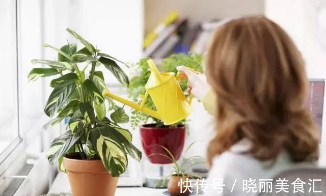 刚买的花说死就死，因为你没有做好这11点养花细节
