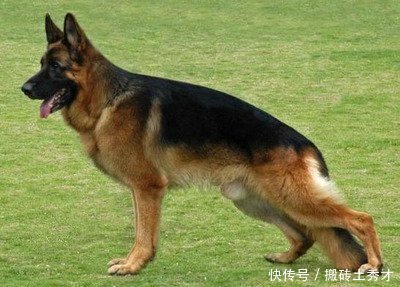 哈希娱乐- 哈希游戏平台- 哈希游戏官方网站高楼最新资讯-快科技--科技改变未来