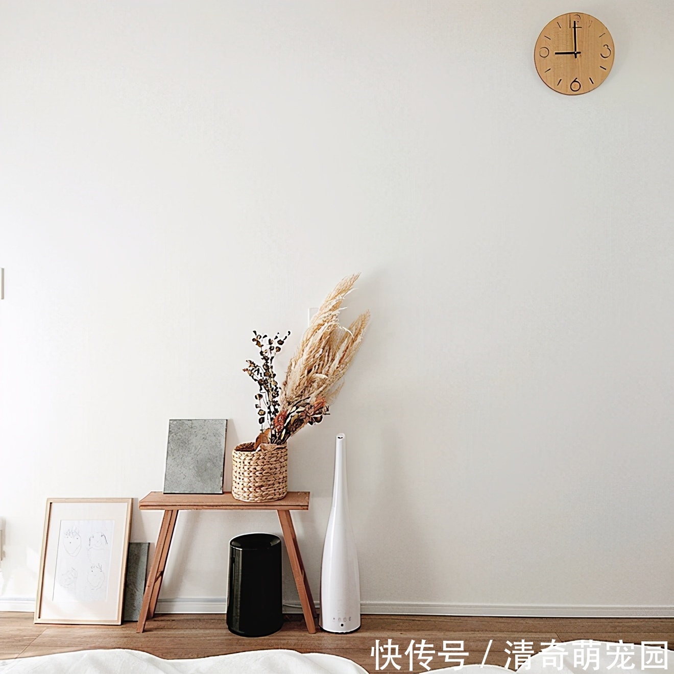 日本太太坚持一天收拾一个区域,家里整洁有序,真的很治愈